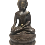 Brown Buddha Stella