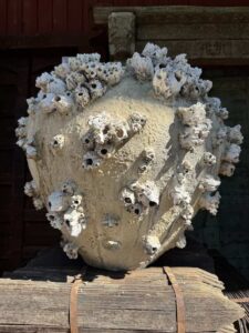 Sea Barnacle & Sponge Urn Vessel - Image 2