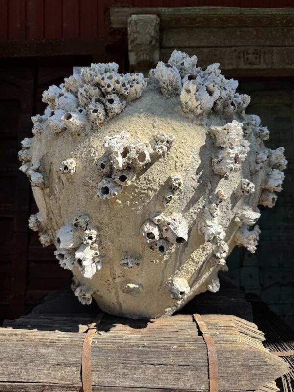 Sea Barnacle & Sponge Urn Vessel - Image 2