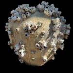 Sea Barnacle & Sponge Urn Vessel