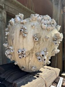 Sea Barnacle & Sponge Urn Vessel - Image 3