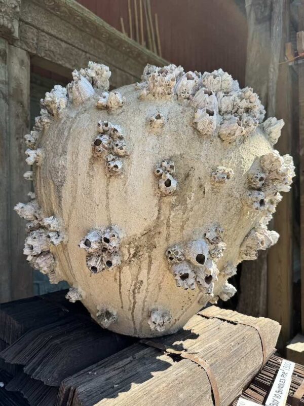 Sea Barnacle & Sponge Urn Vessel - Image 3