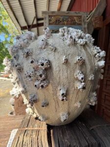 Sea Barnacle & Sponge Urn Vessel - Image 4