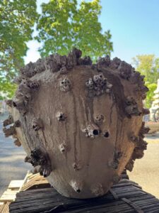 Sea Barnacle & Sponge Urn Vessel - Image 5