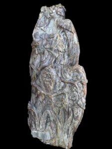 Hand Carved Petrified Wood - Peacock Atop Grape Vine