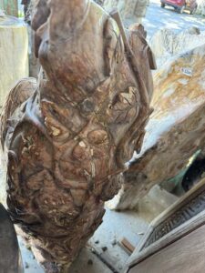 Hand Carved Petrified Wood - Peacock Atop Grape Vine - Image 6