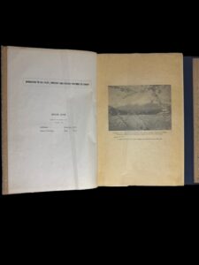 Old Japanese Literature Book - Image 2