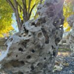 Chinese Natural Marble Scholar Rock- Gongshi Jiashan #A11