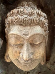 Hand Carved Buddha Face In Tree Burl Log - Image 6