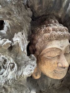 Hand Carved Buddha Face In Tree Burl Log - Image 4