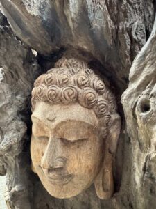 Hand Carved Buddha Face In Tree Burl Log - Image 5