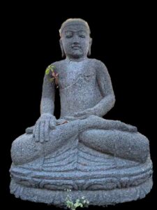 Hand Carved Lava Stone Medicine Buddha